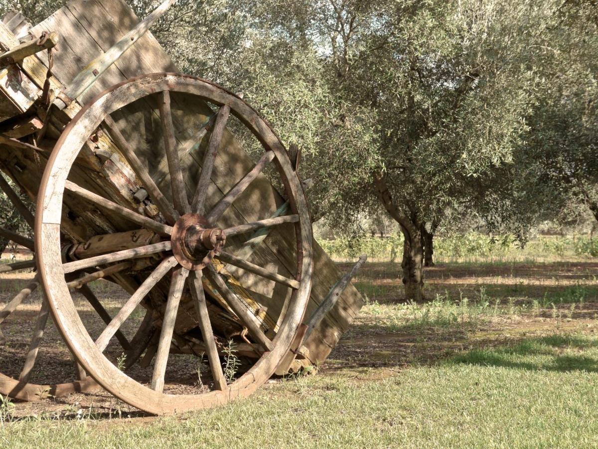 Tenuta Masseria & Chicco Rizzo *